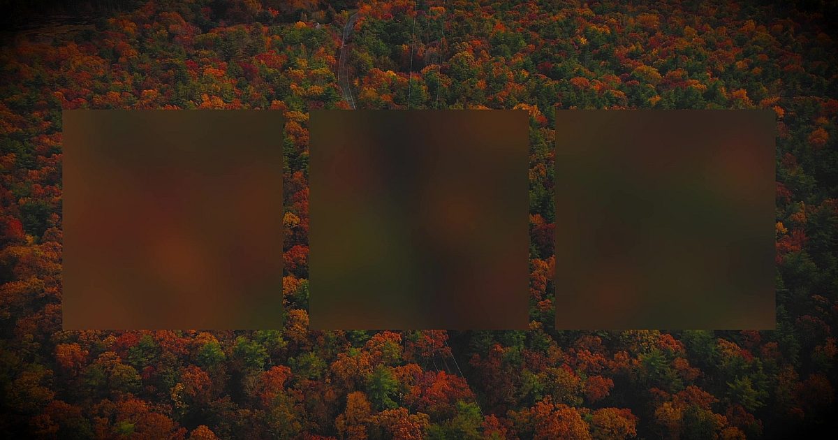 Color Drive Background Autumn Colors Drive Alt | Motion Video Background
