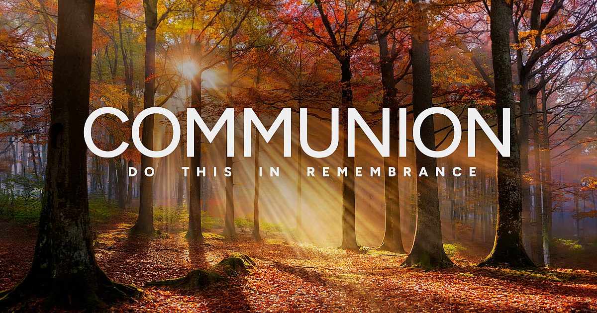Autumn Light Communion | Motion Video Background