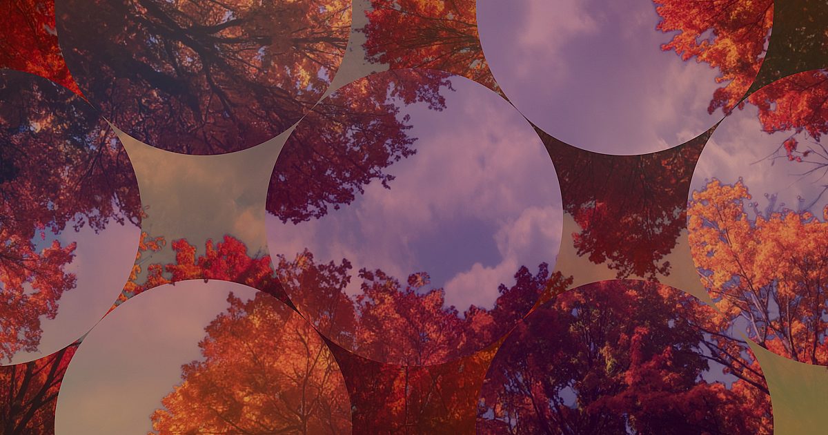 Fall Trees 10 Remix | Motion Video Background