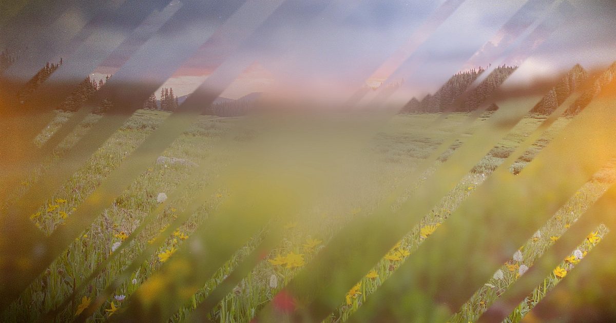 Spring Journey Spring Journey 05 | Motion Video Background