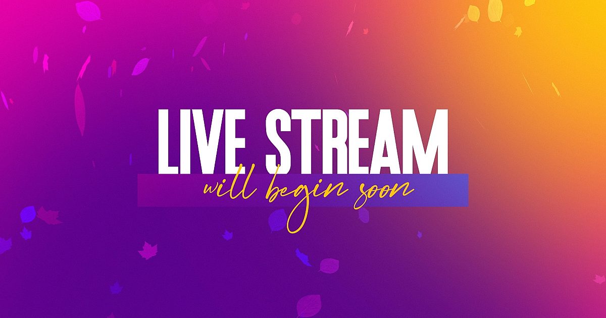 Vibrant Fall Live Stream | Motion Video Background