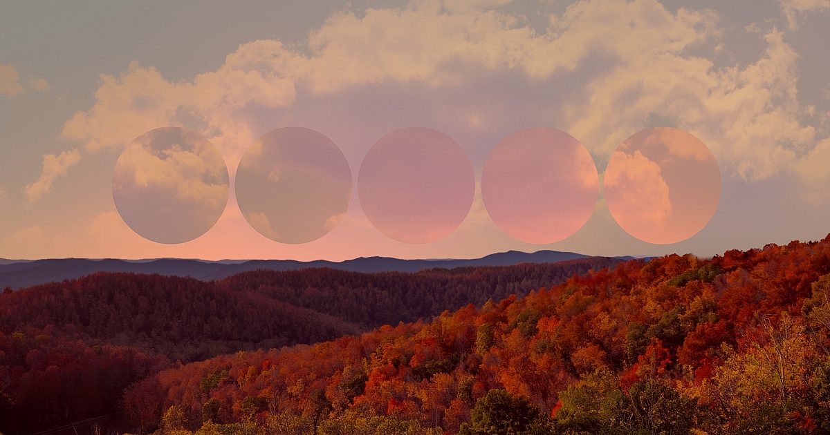 Wilderness Fall 10 Remix | Motion Video Background