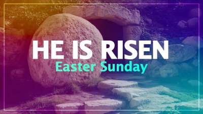 Risen King Motion Loop