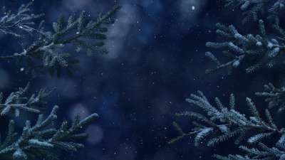 Christmas Wintertide 1