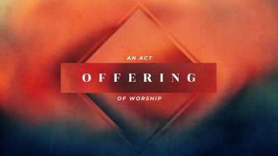 Altered Colors Offering