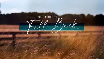 Amber Fields Fall Back