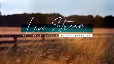 Amber Fields Live Stream