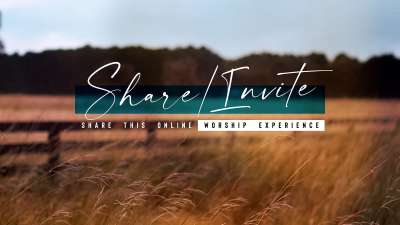 Amber Fields Share Invite