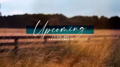 Amber Fields Upcoming