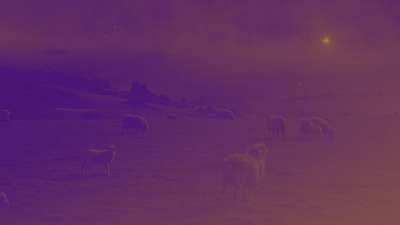 Amber Christmas Sheep