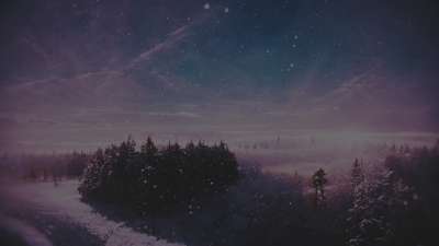 Another Winter Journey Solitude Forest Alt