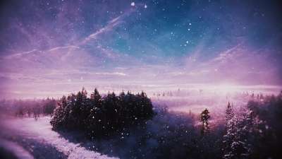 Another Winter Journey Solitude Forest