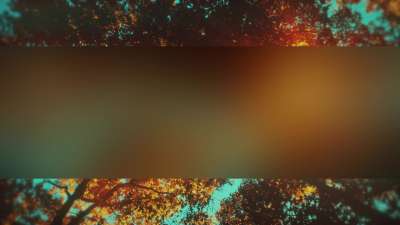 Autumn Canopies 7 Bar