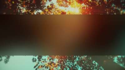 Autumn Canopies 8 Bar