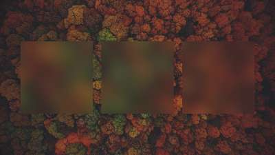 Autumn Colors Above Alt