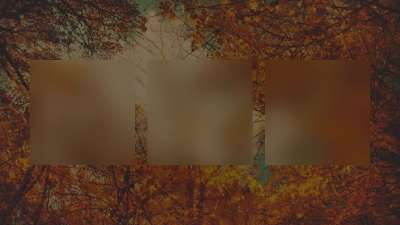 Autumn Colors Canopy Alt