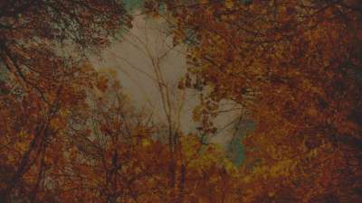 Autumn Colors Canopy