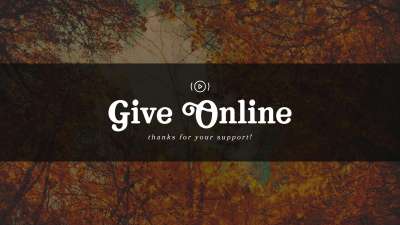 Autumn Colors Give Stream