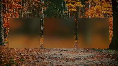 Autumn Colors Path Alt