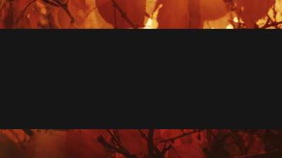 Autumn Dream Awash Box