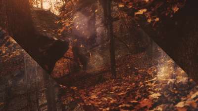 Autumn Dream Path Alt