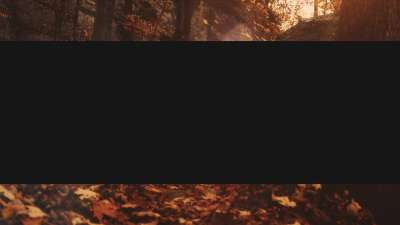 Autumn Dream Path Box