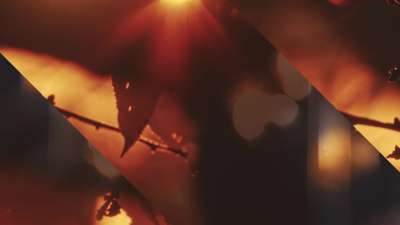 Autumn Dream Shade Alt