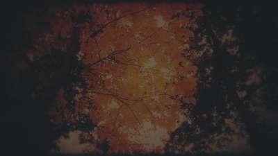 Autumn Fire Embers Subdued