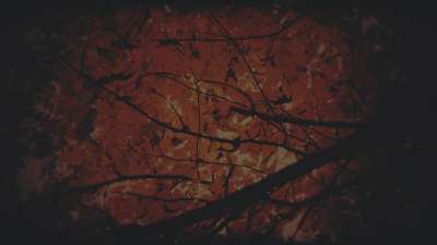 Autumn Fire Smelter Subdued