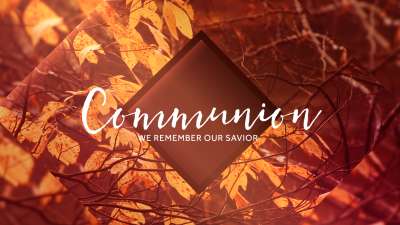 Autumn Oasis Communion Still
