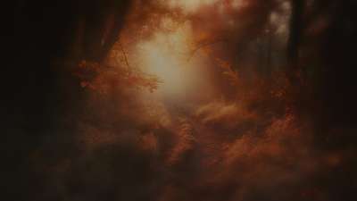 Autumn Path 2 Darken