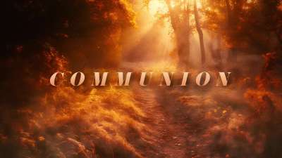 Autumn Path Communion