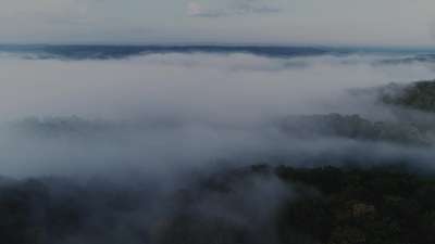 Autumn Scripture Aerial