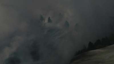 Autumn Scripture Hillside