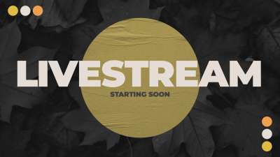 Autumn Tones Livestream