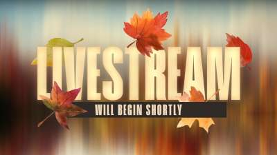 Autumnscape Livestream