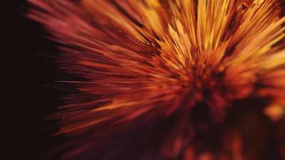 Beautiful Disruption Flower