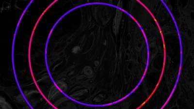 Black Marble Circles