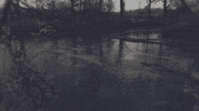 Bleak Beauty Frozen Fade