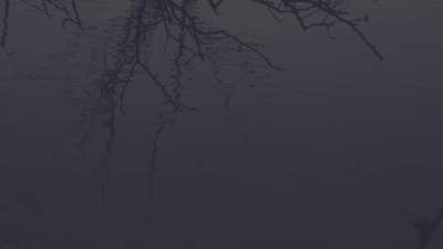 Bleak Beauty Pool Fade