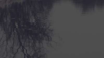 Bleak Beauty Reflect Fade