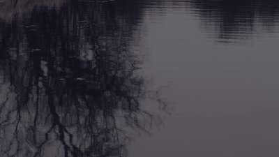 Bleak Beauty Reflect