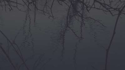 Bleak Beauty Ripples Fade