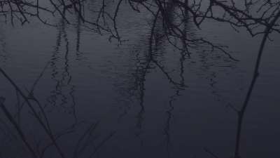 Bleak Beauty Ripples