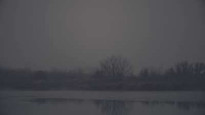 Bleak Beauty Shoreline Fade