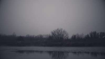 Bleak Beauty Shoreline