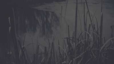 Bleak Beauty Water Edge Fade