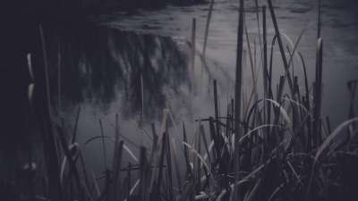 Bleak Beauty Water Edge