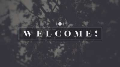 Bleak Beauty Welcome Stream