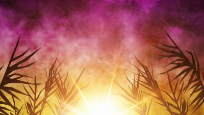 Bright Palm Sunday 01